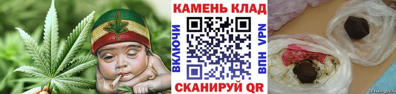 ГАШ Cannabis  Ессентукская 
