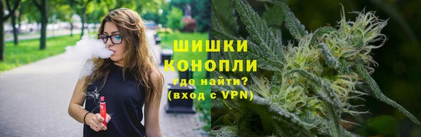 мдпв Краснотурьинск