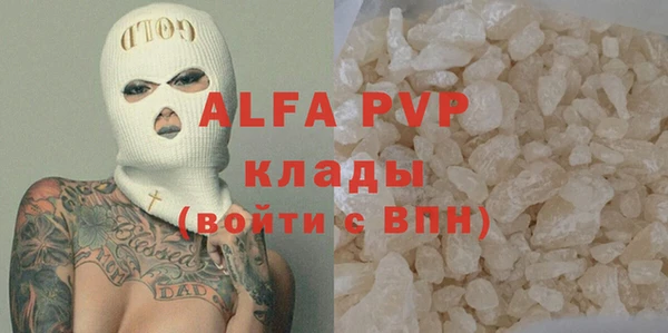 индика Новозыбков