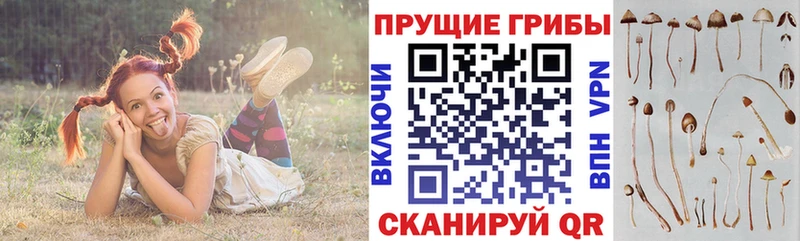 Галлюциногенные грибы ЛСД  Ессентукская 